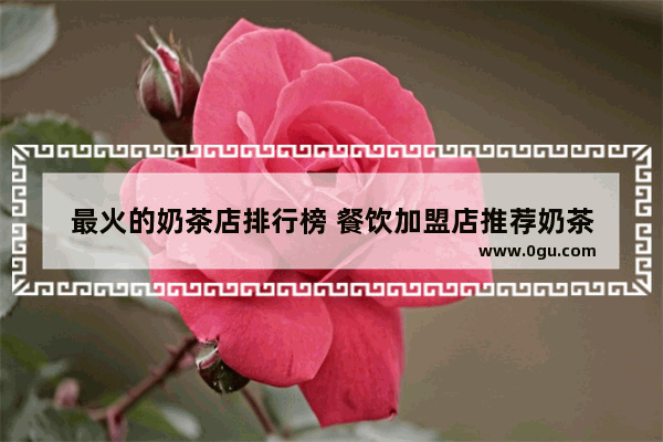 最火的奶茶店排行榜 餐饮加盟店推荐奶茶