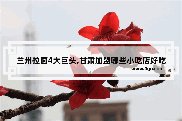 兰州拉面4大巨头,甘肃加盟哪些小吃店好吃