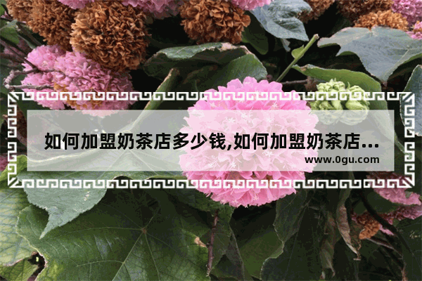 如何加盟奶茶店多少钱,如何加盟奶茶店多少钱