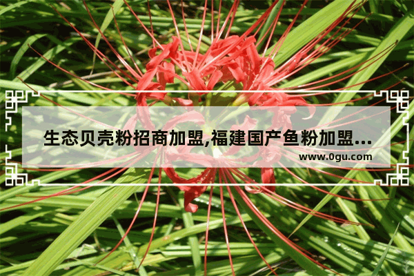 生态贝壳粉招商加盟,福建国产鱼粉加盟品牌