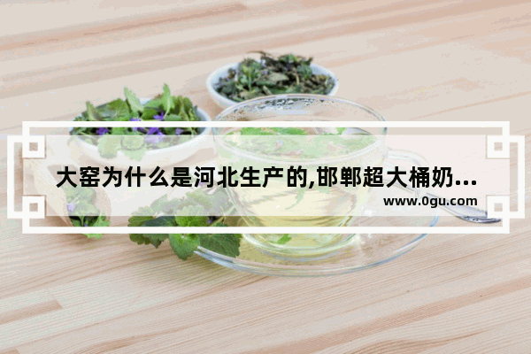 大窑为什么是河北生产的,邯郸超大桶奶茶加盟