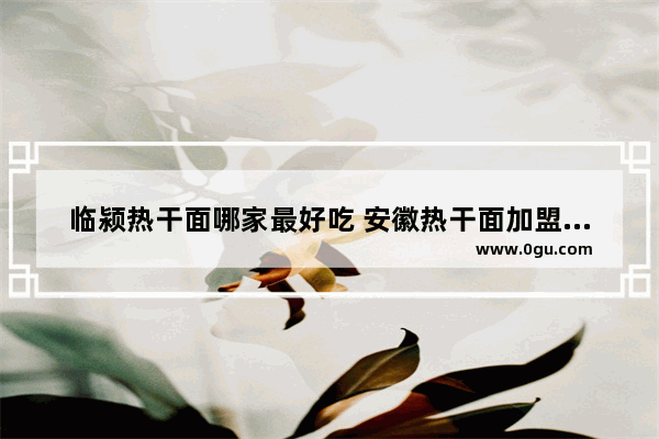 临颍热干面哪家最好吃 安徽热干面加盟店推荐
