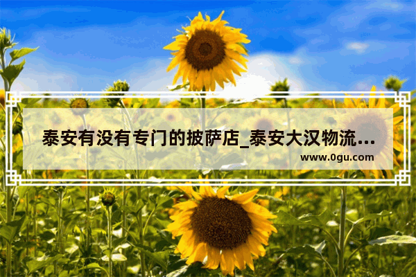 泰安有没有专门的披萨店_泰安大汉物流怎么样