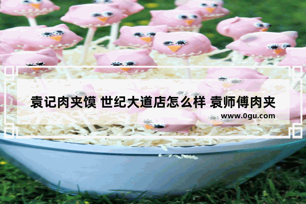 袁记肉夹馍 世纪大道店怎么样 袁师傅肉夹馍加盟品牌