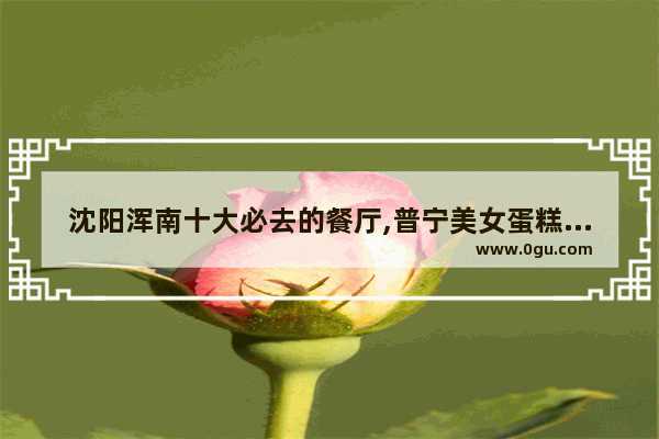 沈阳浑南十大必去的餐厅,普宁美女蛋糕奶茶加盟
