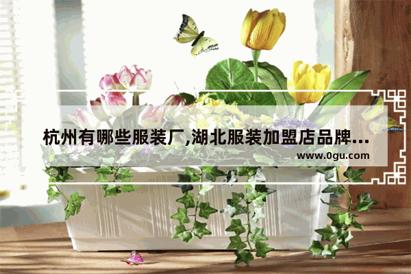 杭州有哪些服装厂,湖北服装加盟店品牌推荐
