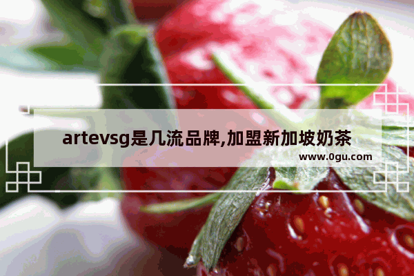 artevsg是几流品牌,加盟新加坡奶茶要多少钱