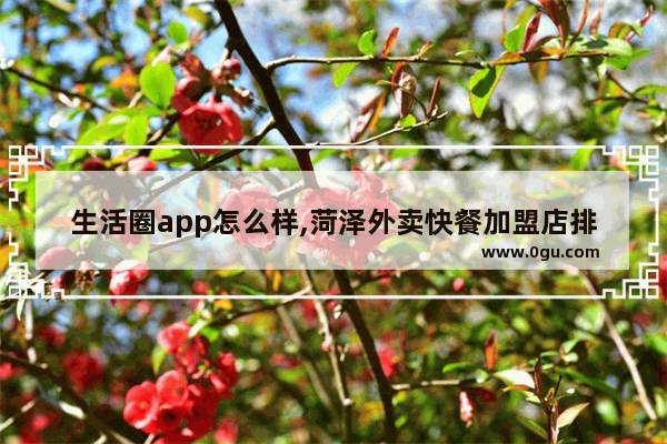 生活圈app怎么样,菏泽外卖快餐加盟店排行榜