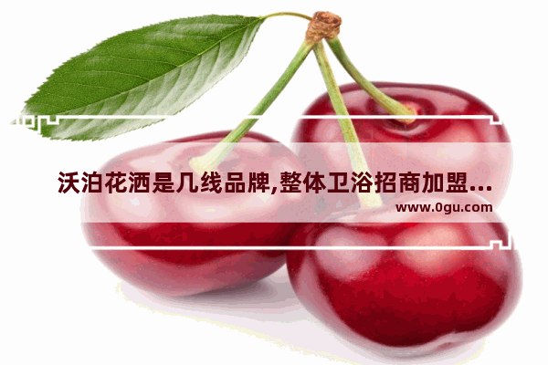 沃泊花洒是几线品牌,整体卫浴招商加盟品牌