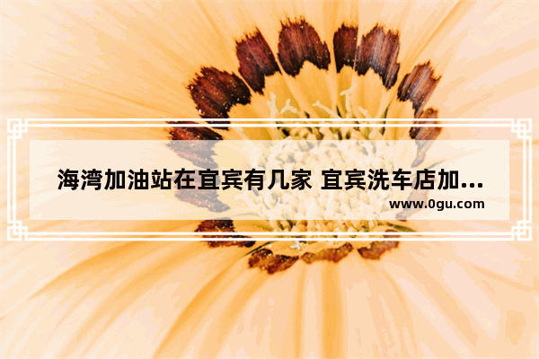 海湾加油站在宜宾有几家 宜宾洗车店加盟店排行榜
