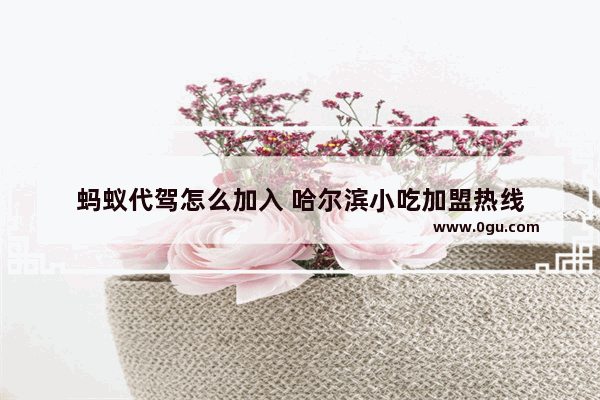蚂蚁代驾怎么加入 哈尔滨小吃加盟热线