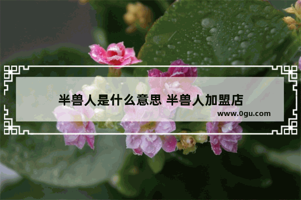 半兽人是什么意思 半兽人加盟店