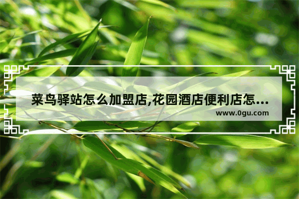 菜鸟驿站怎么加盟店,花园酒店便利店怎么样加盟