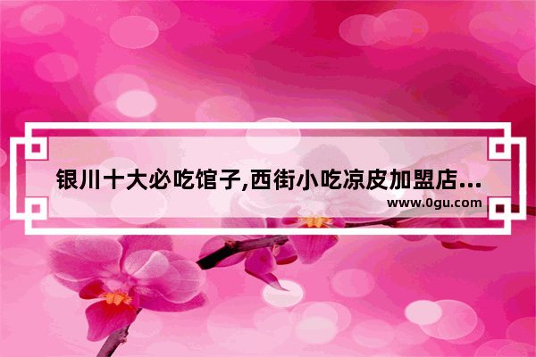 银川十大必吃馆子,西街小吃凉皮加盟店有哪些