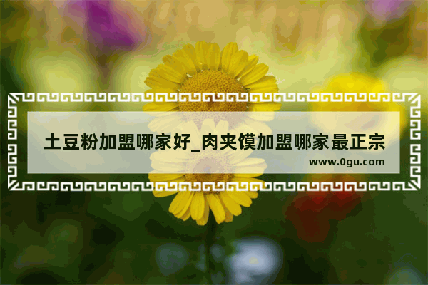 土豆粉加盟哪家好_肉夹馍加盟哪家最正宗