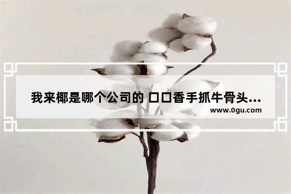 我来椰是哪个公司的 口口香手抓牛骨头加盟