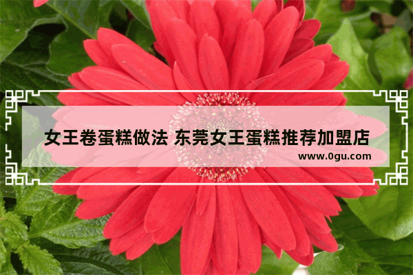 女王卷蛋糕做法 东莞女王蛋糕推荐加盟店