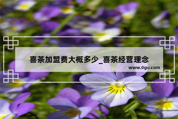 喜茶加盟费大概多少_喜茶经营理念