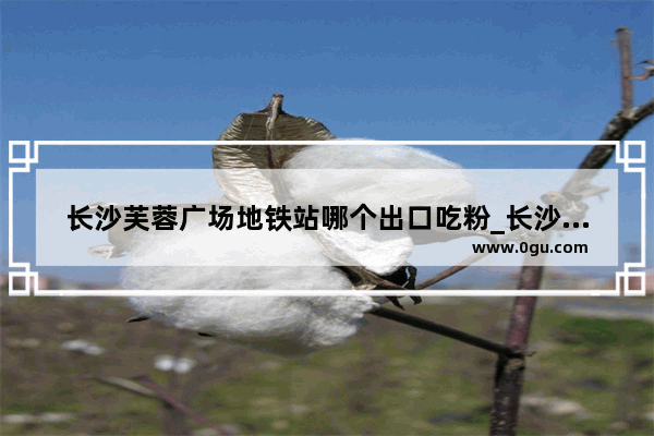 长沙芙蓉广场地铁站哪个出口吃粉_长沙米粉文化