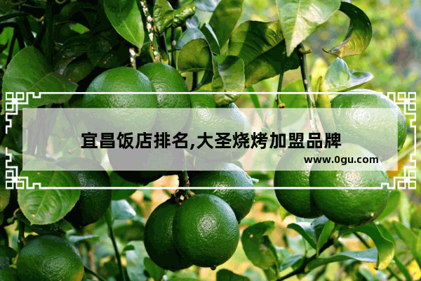 宜昌饭店排名,大圣烧烤加盟品牌