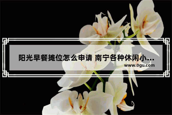 阳光早餐摊位怎么申请 南宁各种休闲小吃加盟条件