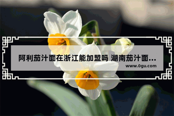 阿利茄汁面在浙江能加盟吗 湖南茄汁面加盟店排行榜