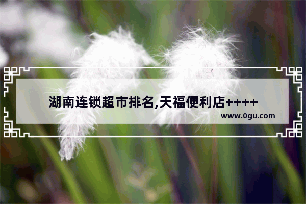 湖南连锁超市排名,天福便利店++++
