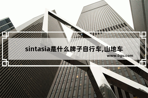 sintasia是什么牌子自行车,山地车加盟什么品牌好点