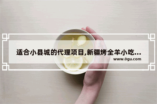 适合小县城的代理项目,新疆烤全羊小吃店加盟