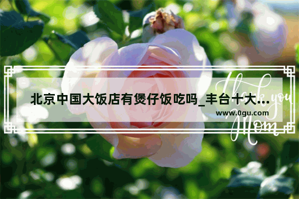 北京中国大饭店有煲仔饭吃吗_丰台十大必吃馆子