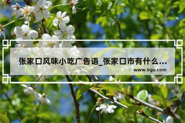 张家口风味小吃广告语_张家口市有什么好玩的