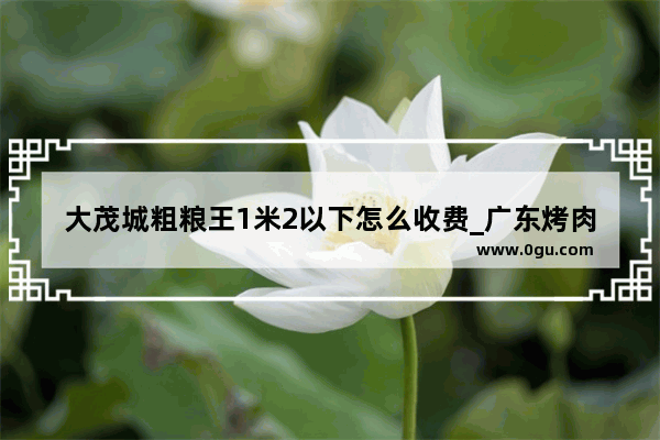 大茂城粗粮王1米2以下怎么收费_广东烤肉腌制方法