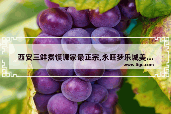 西安三鲜煮馍哪家最正宗,永旺梦乐城美食凉面加盟