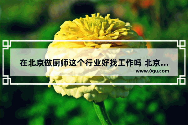 在北京做厨师这个行业好找工作吗 北京美食涮肉烧烤加盟店