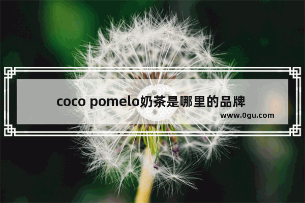 coco pomelo奶茶是哪里的品牌 北京非连锁奶茶店加盟品牌