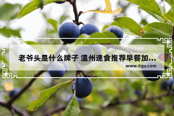 老爷头是什么牌子 温州速食推荐早餐加盟店