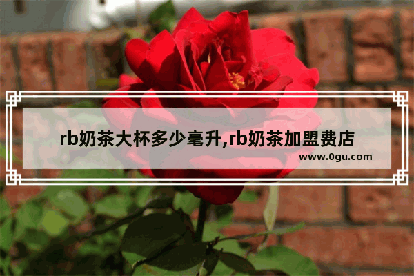 rb奶茶大杯多少毫升,rb奶茶加盟费店