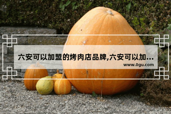 六安可以加盟的烤肉店品牌,六安可以加盟的烤肉店品牌