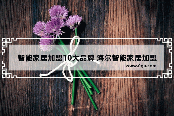 智能家居加盟10大品牌 海尔智能家居加盟条件