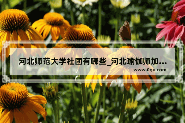 河北师范大学社团有哪些_河北瑜伽师加盟店排行榜