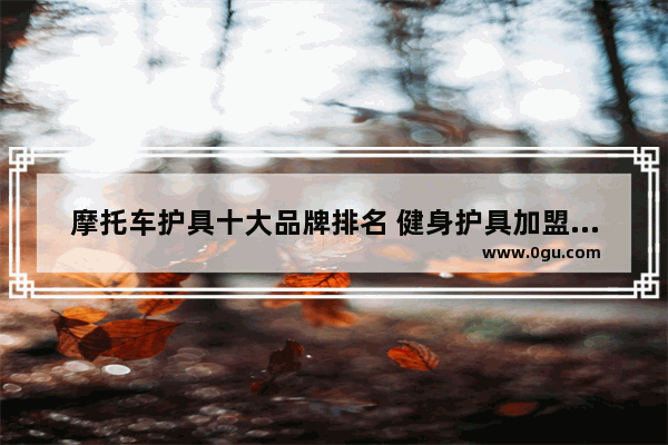 摩托车护具十大品牌排名 健身护具加盟店排行榜最新