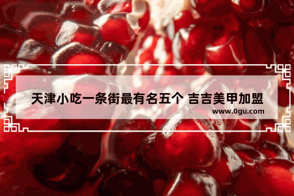 天津小吃一条街最有名五个 吉吉美甲加盟