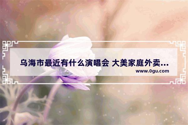 乌海市最近有什么演唱会 大美家庭外卖小吃加盟店