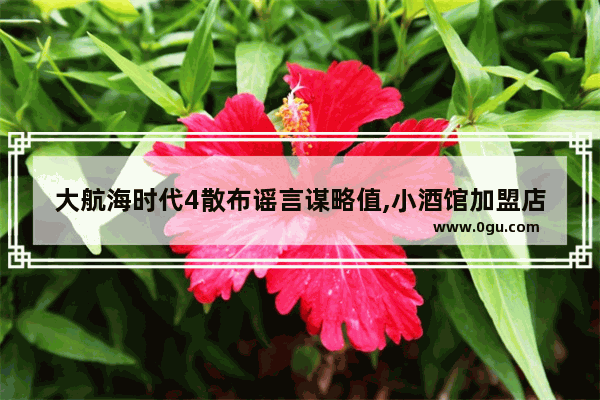 大航海时代4散布谣言谋略值,小酒馆加盟店推荐信