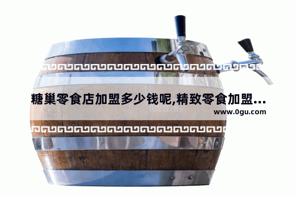 糖巢零食店加盟多少钱呢,精致零食加盟店推荐