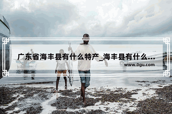 广东省海丰县有什么特产_海丰县有什么好玩的地方