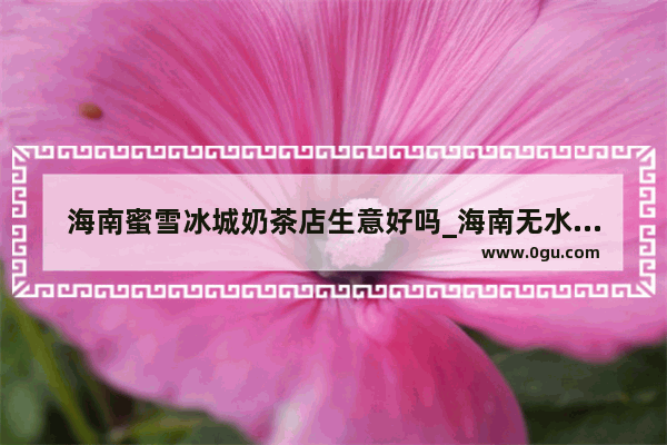 海南蜜雪冰城奶茶店生意好吗_海南无水香蕉蛋糕)加盟费多少钱
