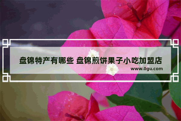 盘锦特产有哪些 盘锦煎饼果子小吃加盟店