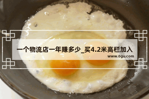 一个物流店一年赚多少_买4.2米高栏加入物流公司怎么样
