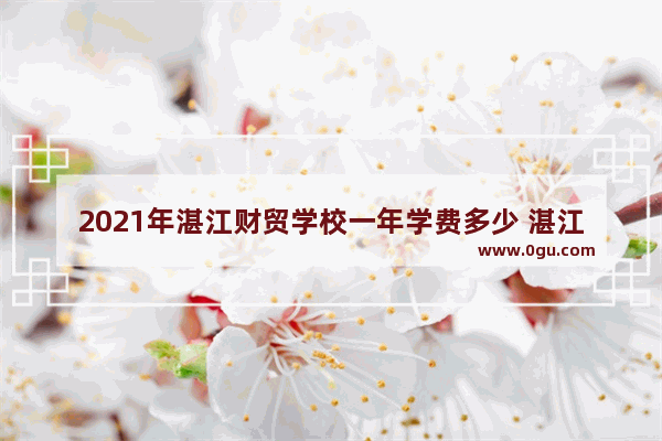 2021年湛江财贸学校一年学费多少 湛江西式快餐加盟店排行榜
